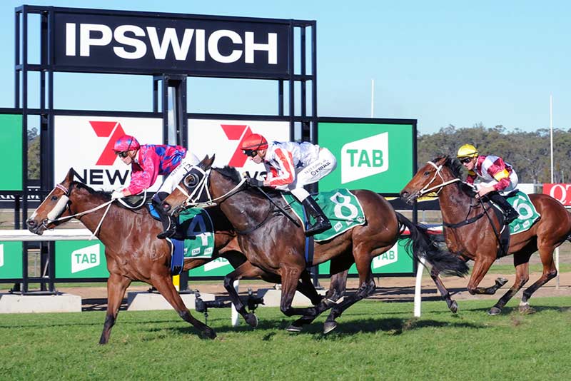 Ipswich racing opens its gates